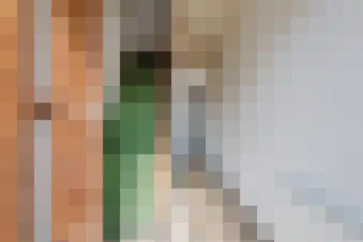 Burgemeester Falkenaweg 69 Heerenveen thumbnail 7