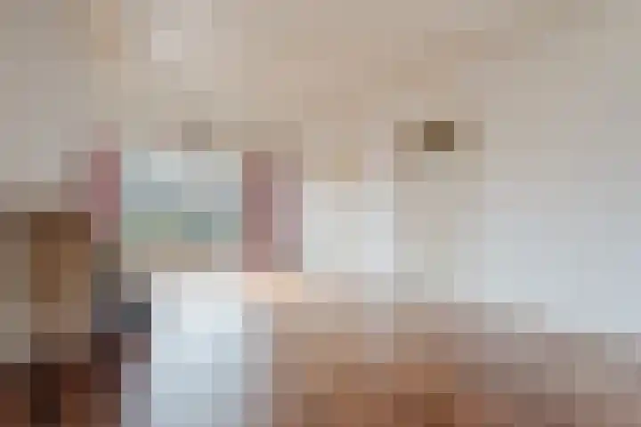 Burgemeester Falkenaweg 69 Heerenveen thumbnail 8