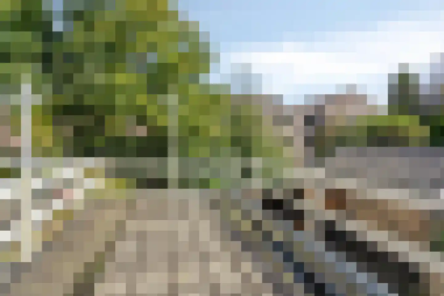 Burgemeester Falkenaweg 73 Heerenveen thumbnail 19