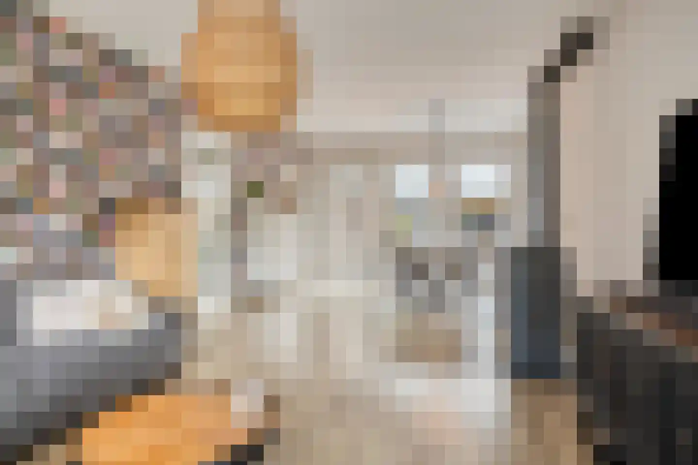Burgemeester Falkenaweg 73 Heerenveen thumbnail 8
