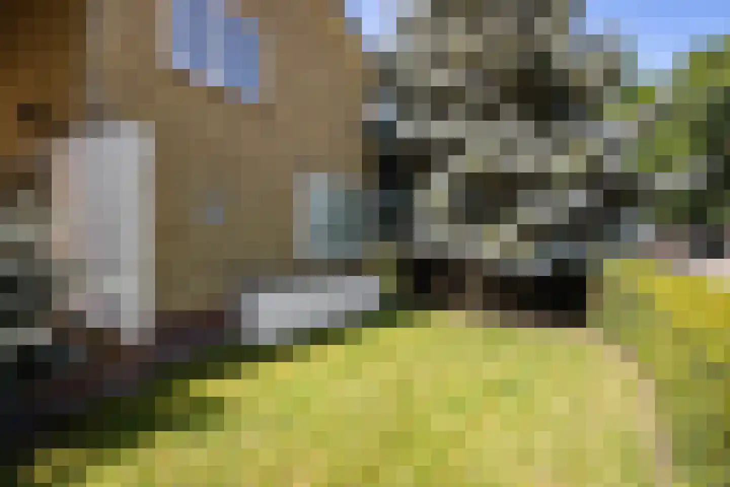 Burgemeester Falkenaweg 76 Heerenveen thumbnail 11