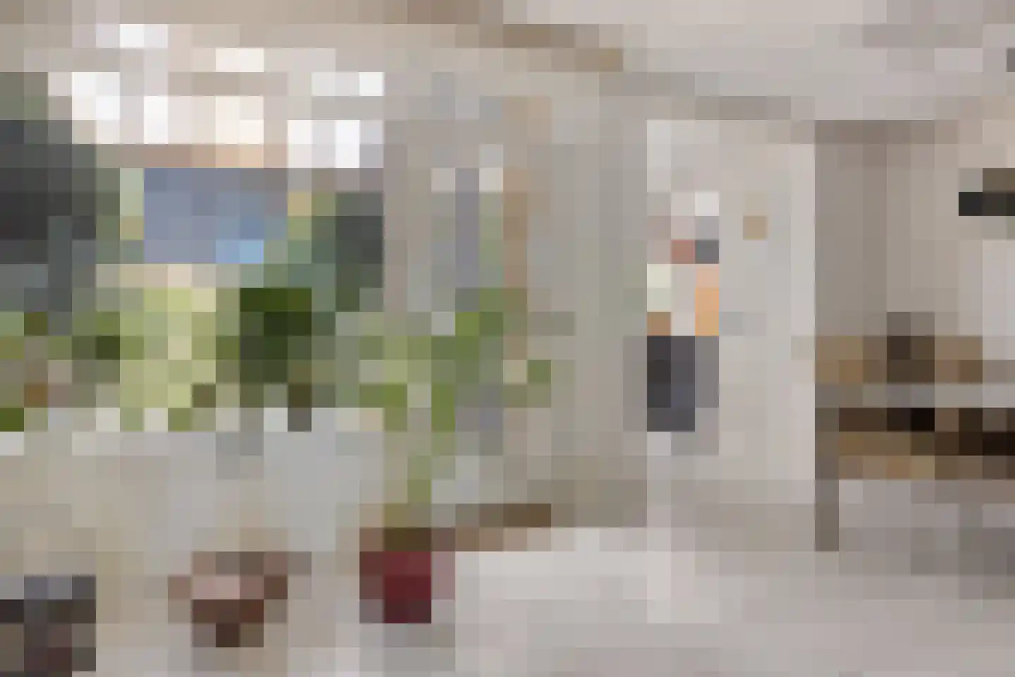 Burgemeester Falkenaweg 76 Heerenveen thumbnail 14