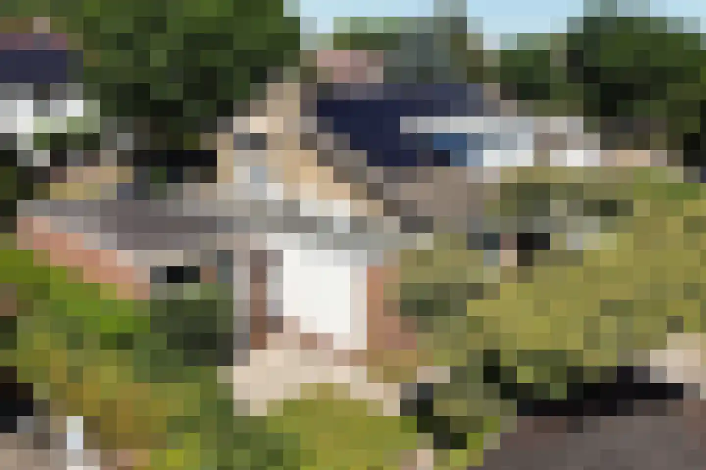 Burgemeester Falkenaweg 76 Heerenveen thumbnail 63