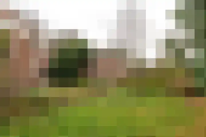 Burgemeester Falkenaweg 82 Heerenveen thumbnail 32