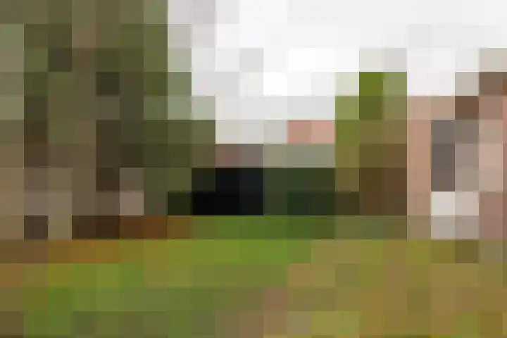 Burgemeester Falkenaweg 82 Heerenveen thumbnail 33