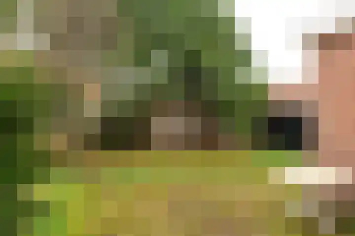 Burgemeester Falkenaweg 82 Heerenveen thumbnail 34