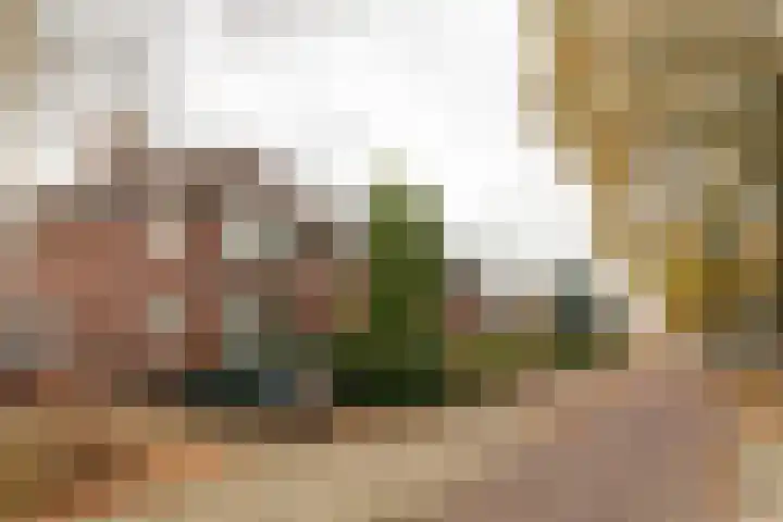 Burgemeester Falkenaweg 82 Heerenveen thumbnail 38