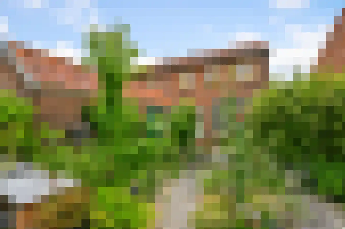 Burgemeester Ferfstraat 3 Westzaan thumbnail 4