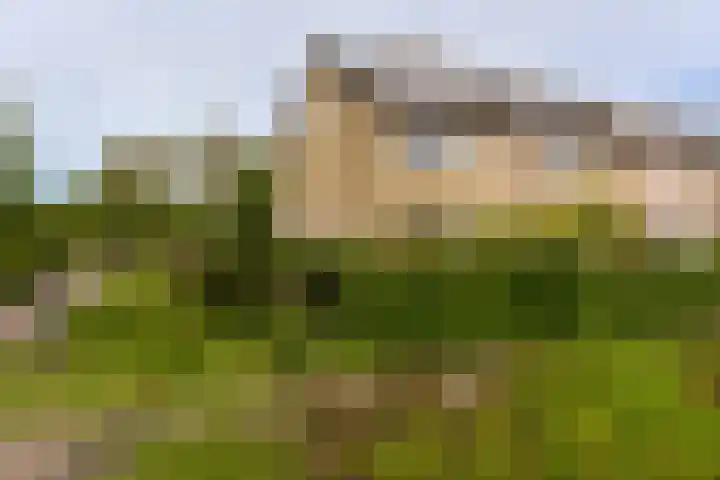 Burgemeester Fernhoutlaan 31 Wilnis thumbnail 45