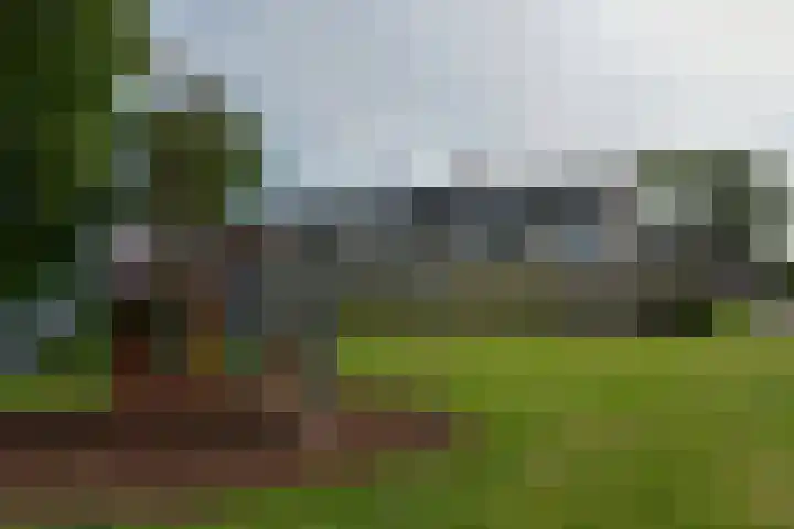 Burgemeester Fernhoutlaan 31 Wilnis thumbnail 46