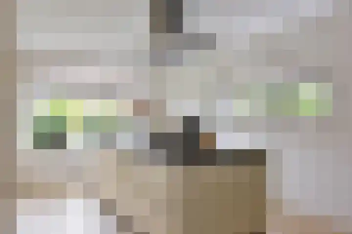 Burgemeester Fernhoutlaan 31 Wilnis thumbnail 7