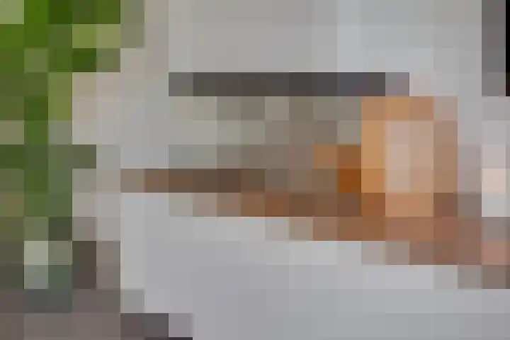 Burgemeester Folkertslaan 43 Elburg thumbnail 6