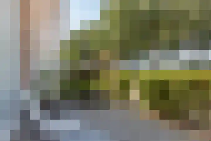 Burgemeester Folkertslaan 7 Elburg thumbnail 4