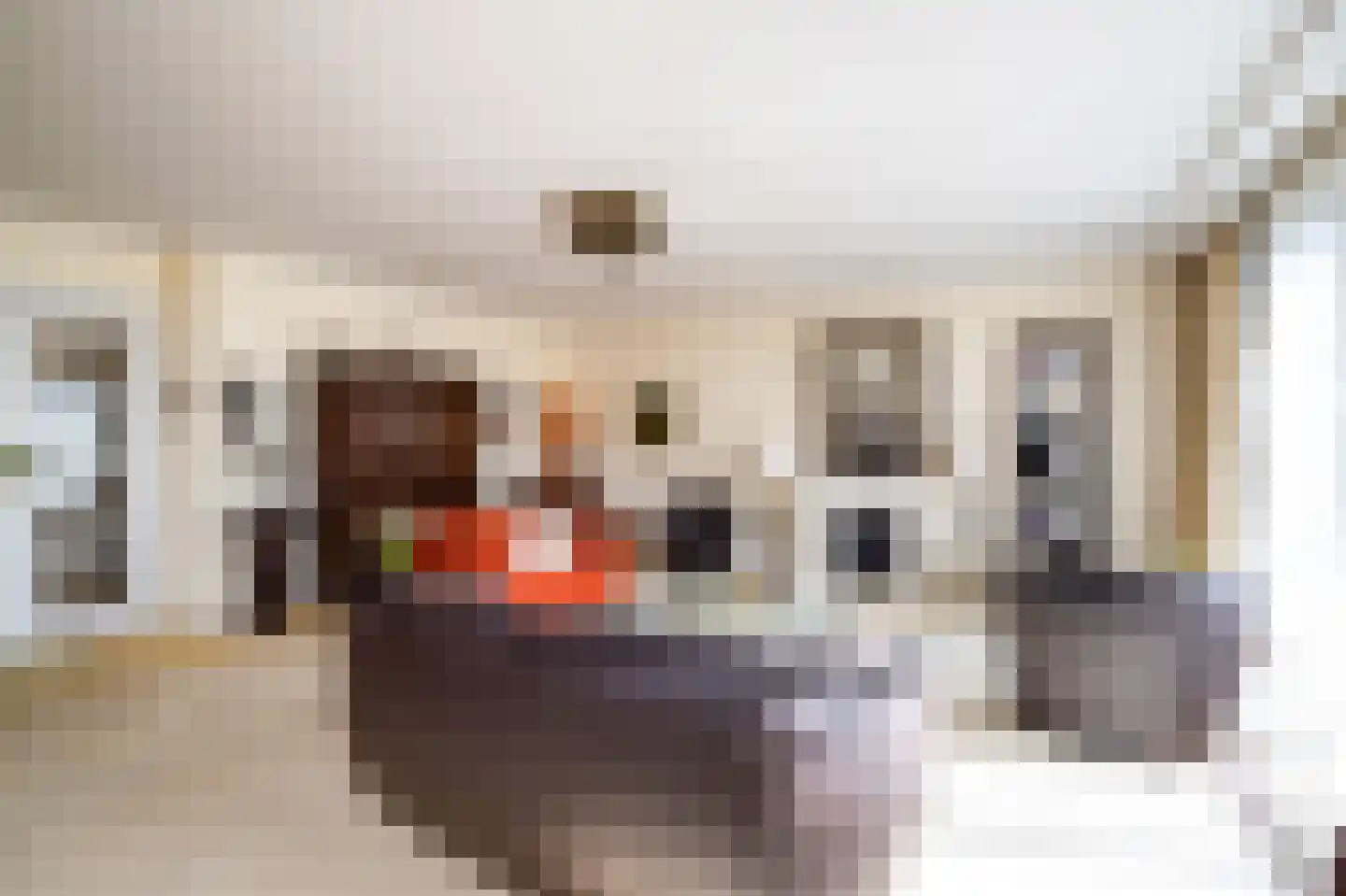 Burgemeester Fonteinlaan 5 Huizen thumbnail 16