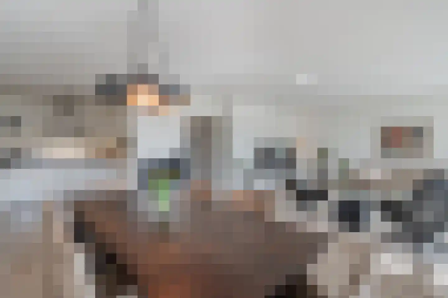 Burgemeester Fonteinlaan 8 Huizen thumbnail 21
