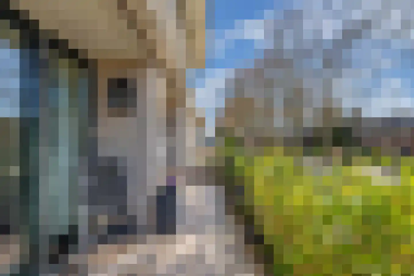 Burgemeester Fonteinlaan 8 Huizen thumbnail 24