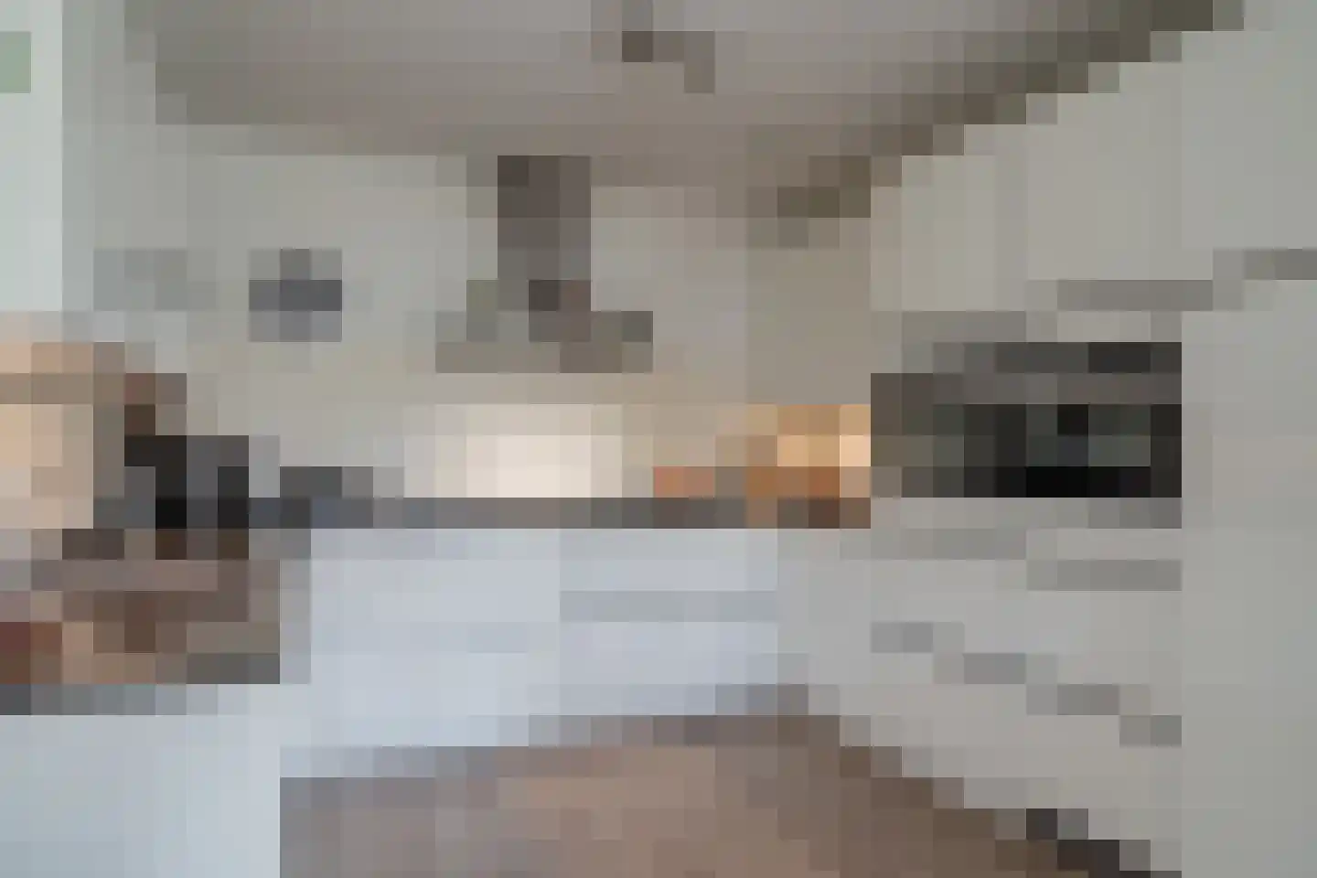 Burgemeester Fonteinlaan 8 Huizen thumbnail 30