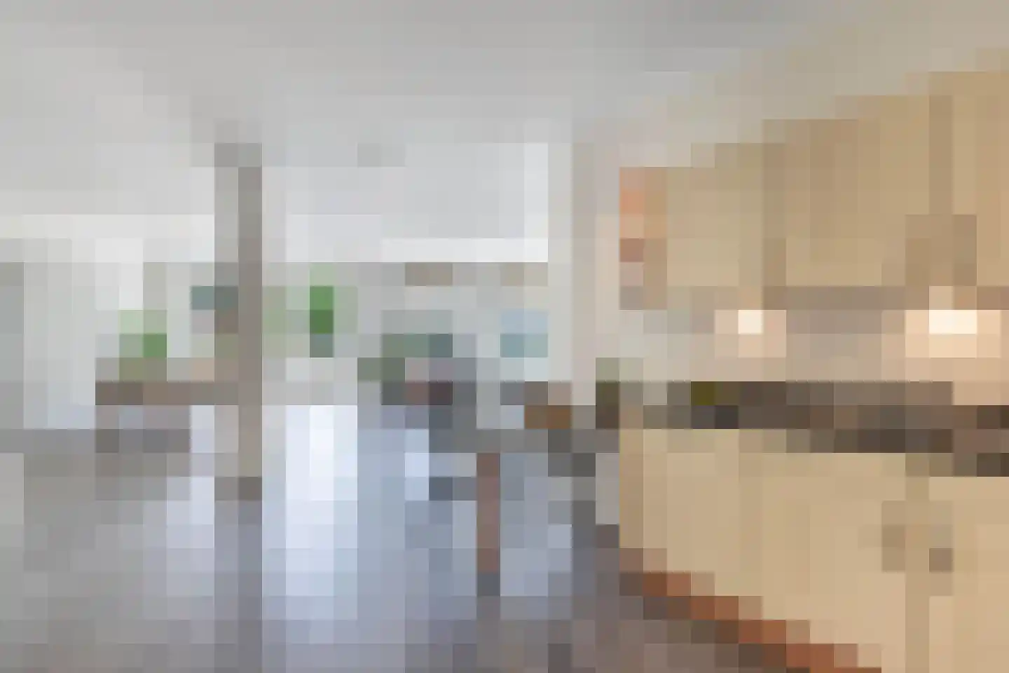 Burgemeester Fonteinlaan 9 Huizen thumbnail 16