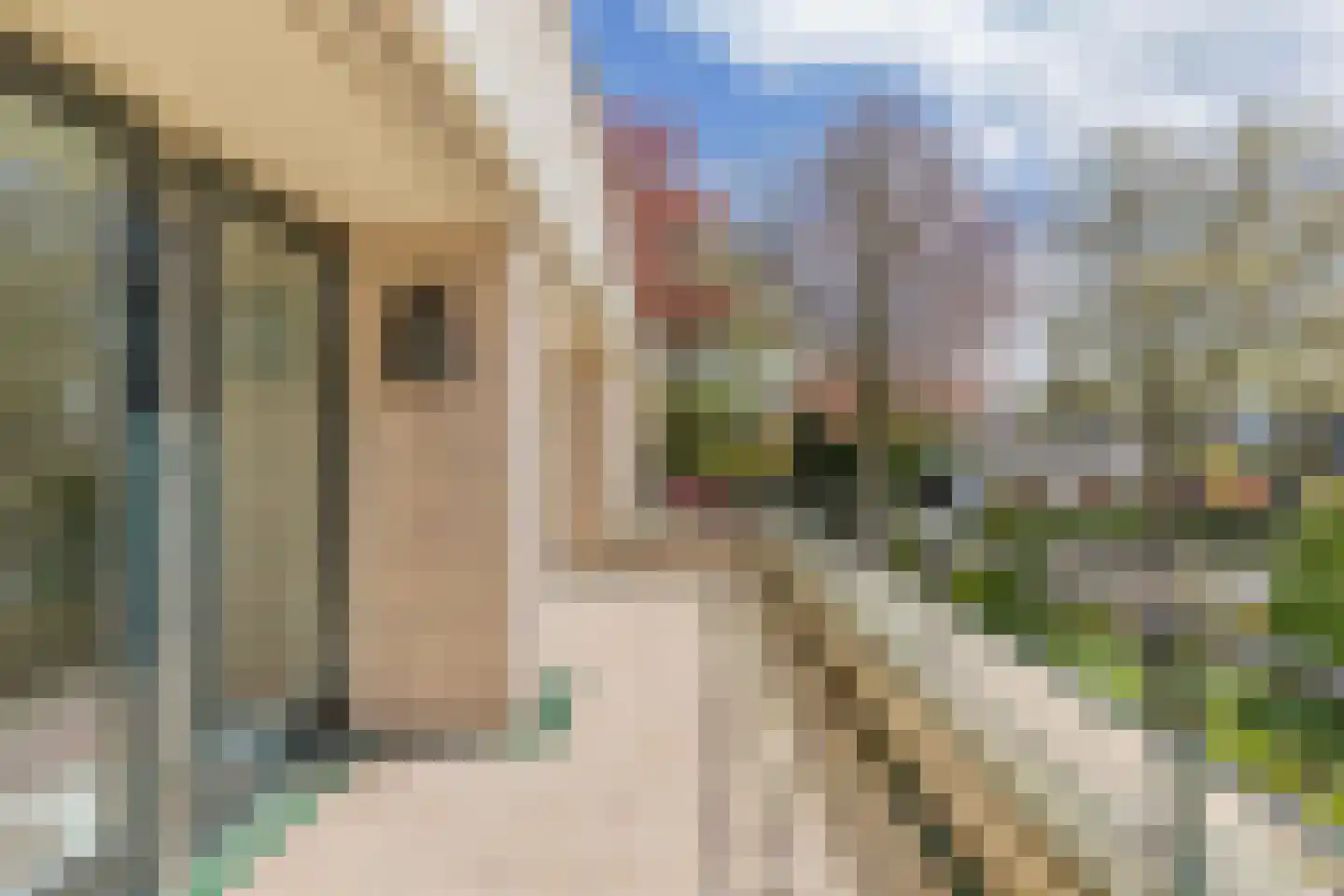 Burgemeester Fonteinlaan 9 Huizen thumbnail 24
