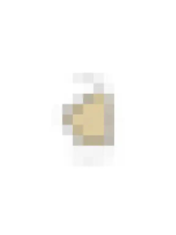 Burgemeester Fonteinlaan 9 Huizen thumbnail 27