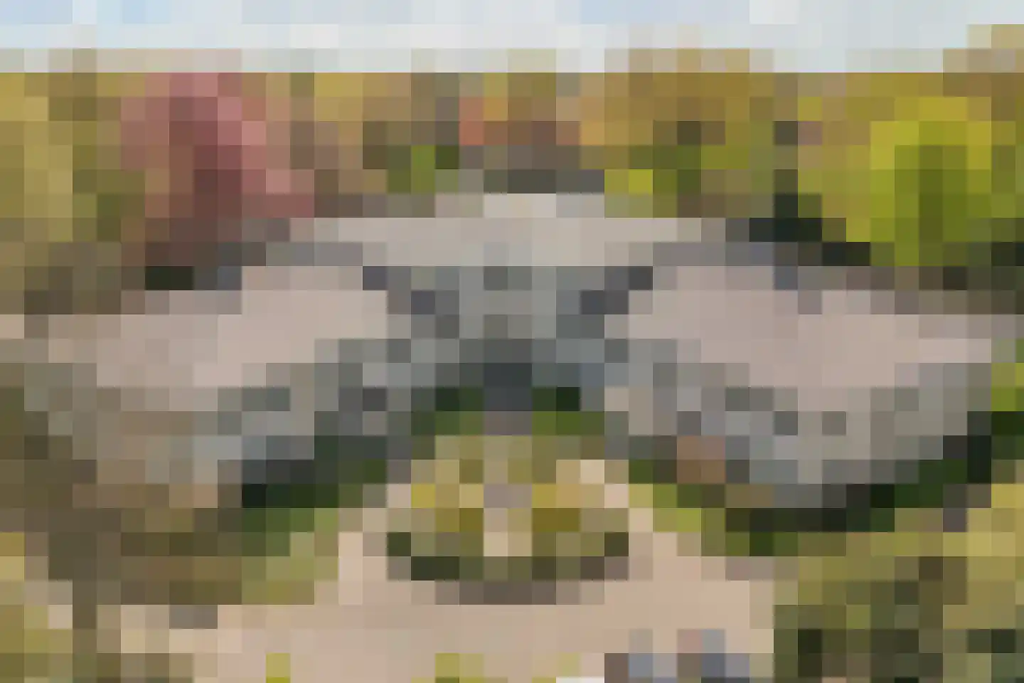 Burgemeester Fonteinlaan 9 Huizen thumbnail 33