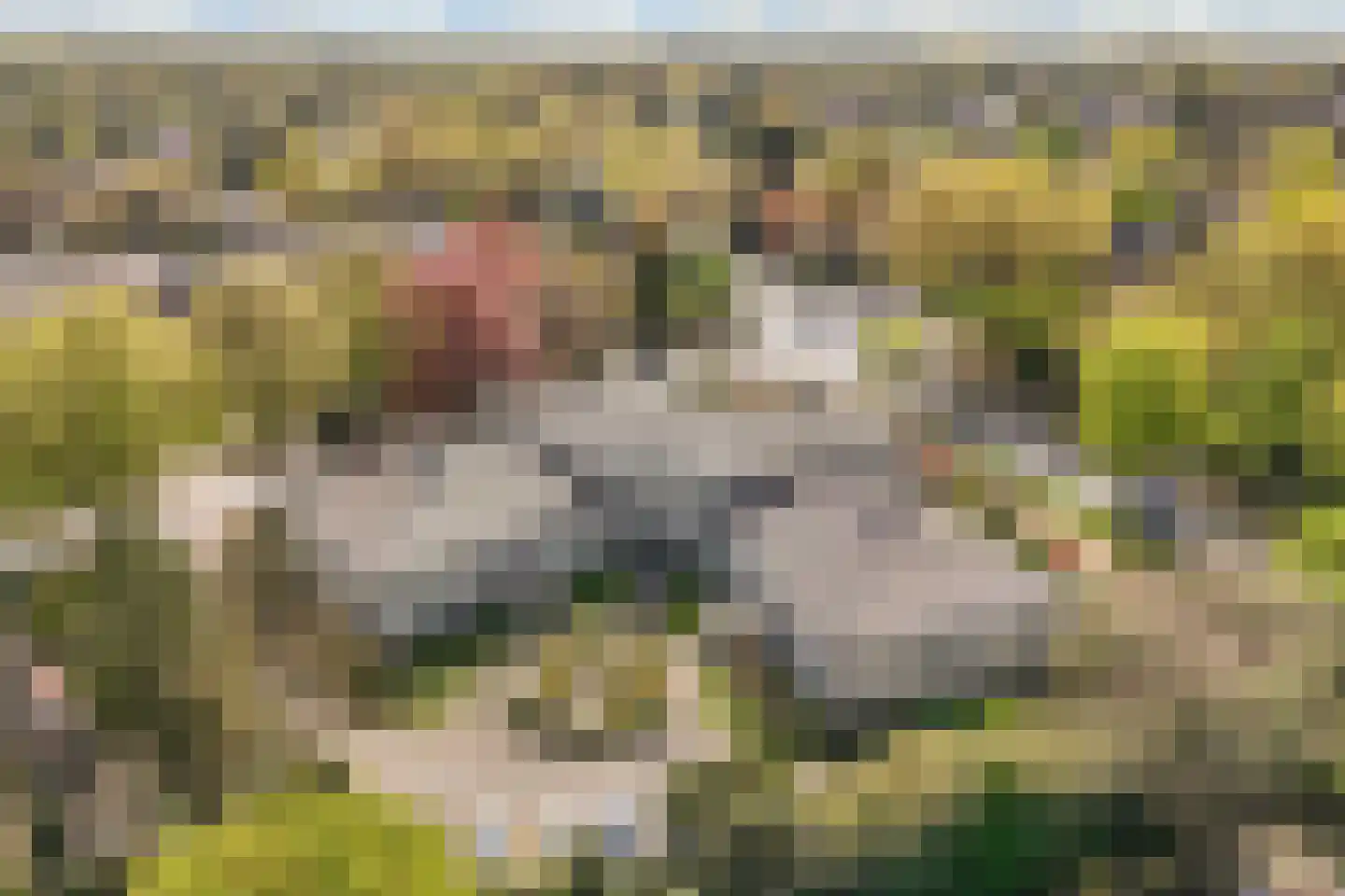 Burgemeester Fonteinlaan 9 Huizen thumbnail 4