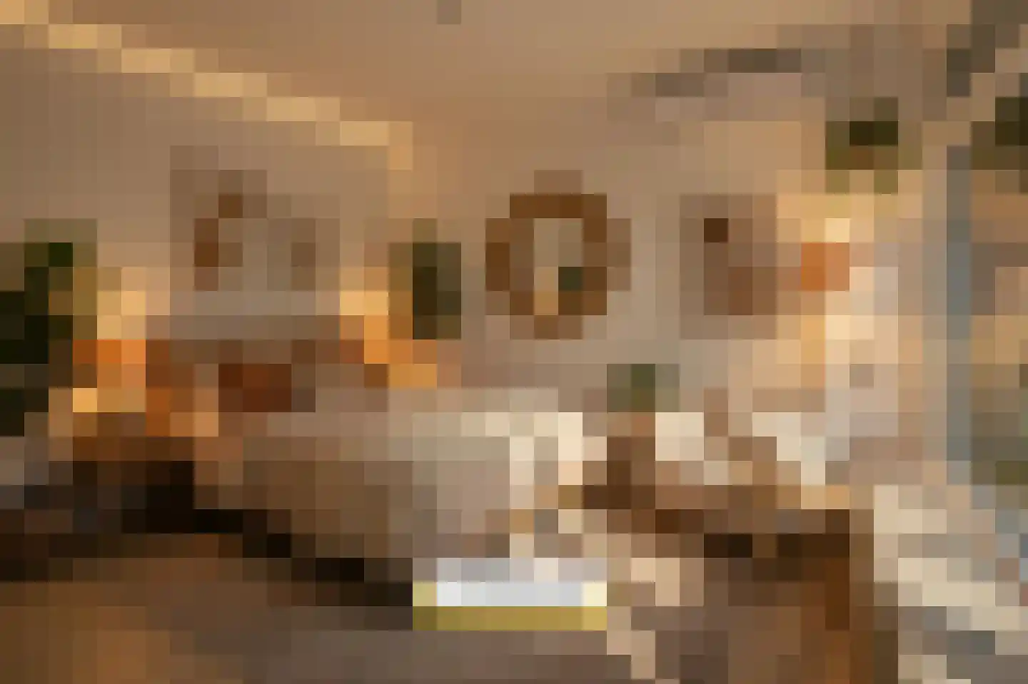 Burgemeester Freijterslaan 128 Roosendaal thumbnail 7