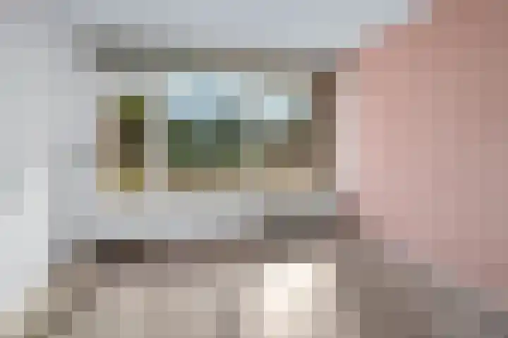 Burgemeester Freijterslaan 62 Roosendaal thumbnail 4