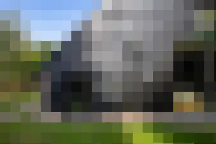 Burgemeester Frieswijkweg 22 Doornspijk thumbnail 54
