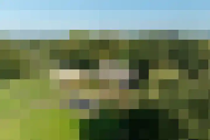 Burgemeester Frieswijkweg 22 Doornspijk thumbnail 6