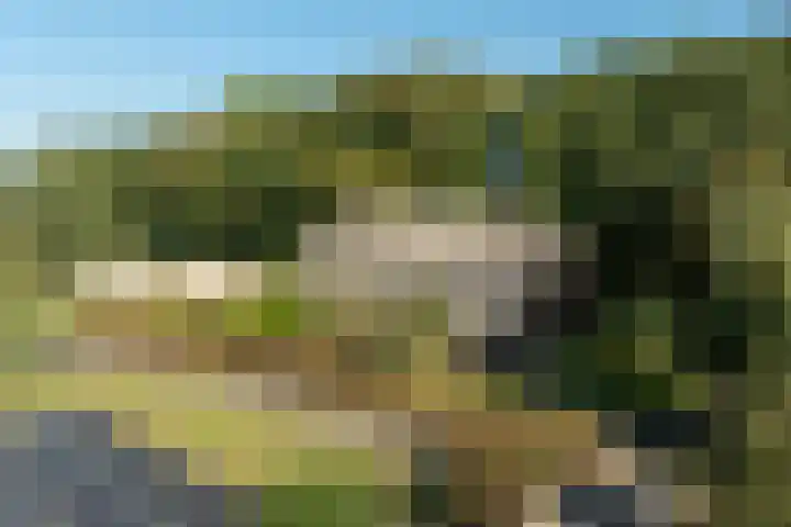 Burgemeester Frieswijkweg 22 Doornspijk thumbnail 69