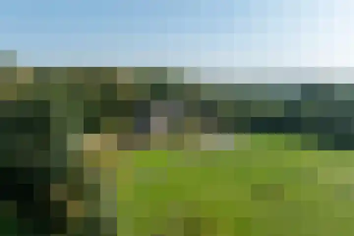 Burgemeester Frieswijkweg 22 Doornspijk thumbnail 77