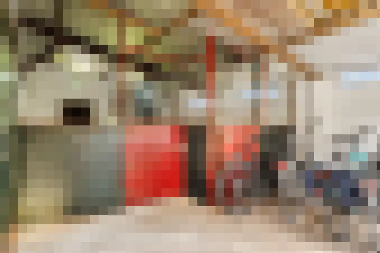 Burgemeester Frieswijkweg 25 Doornspijk thumbnail 41