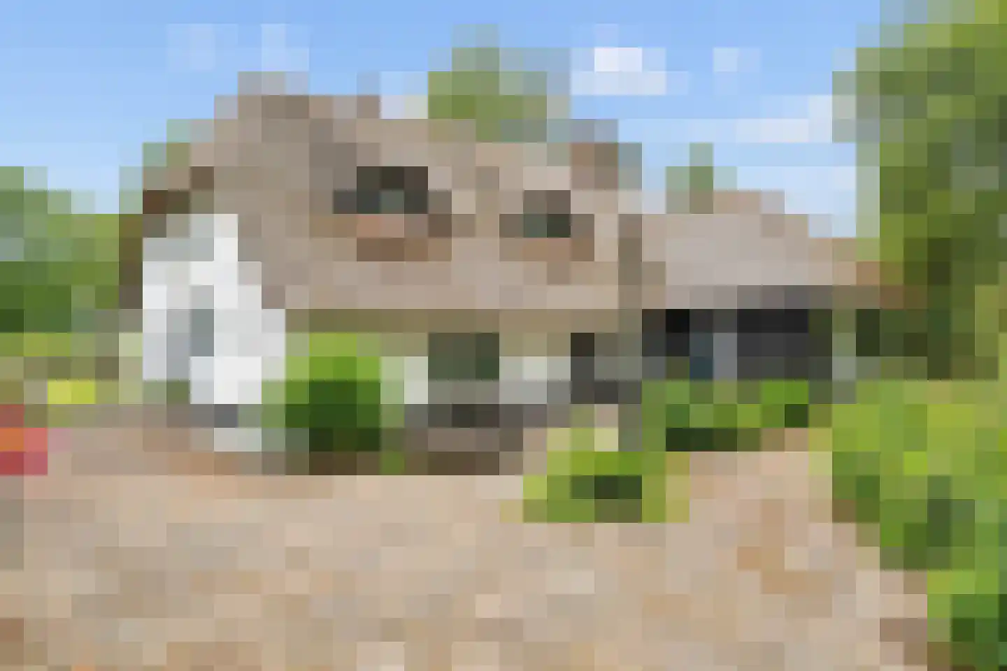 Burgemeester Frieswijkweg 25 Doornspijk thumbnail 47