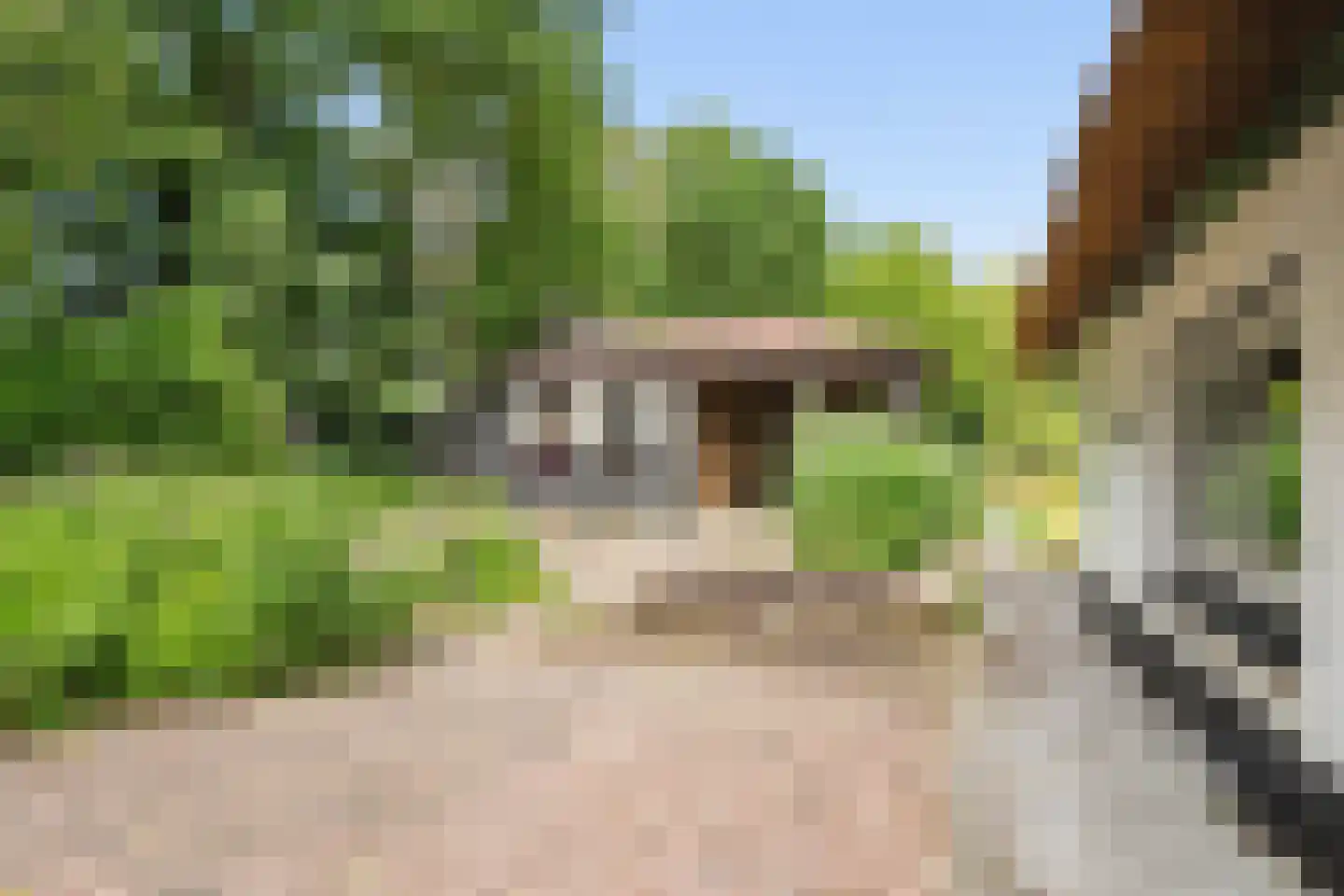 Burgemeester Frieswijkweg 25 Doornspijk thumbnail 52