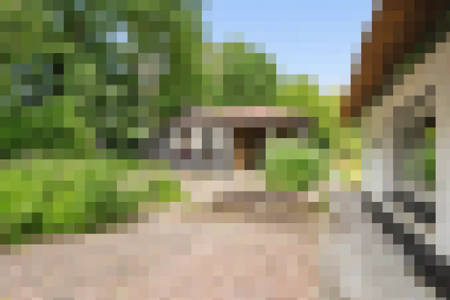 Burgemeester Frieswijkweg 25 Doornspijk thumbnail 53