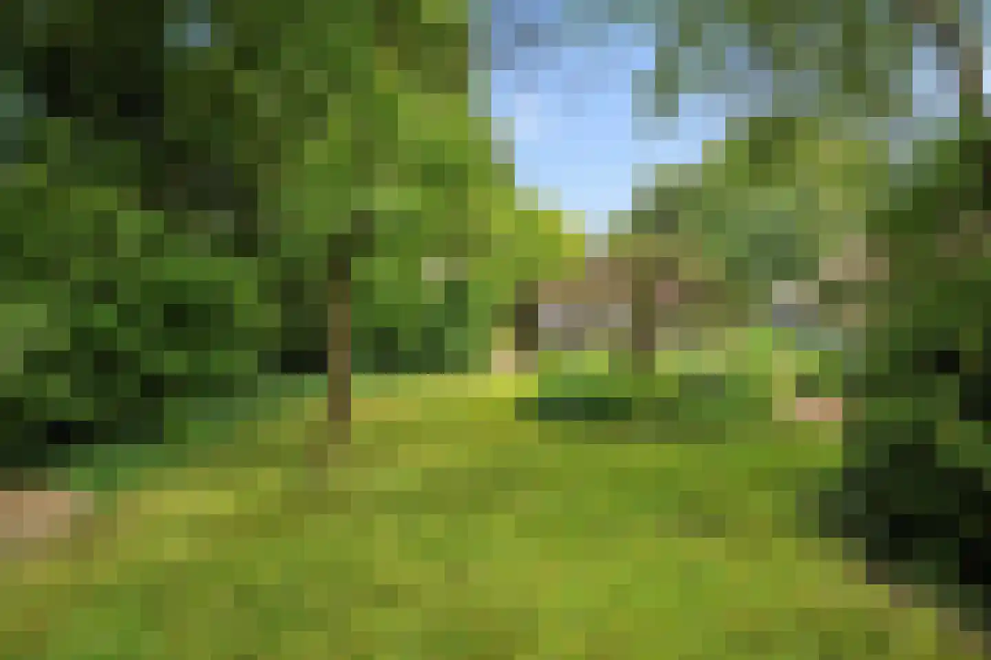 Burgemeester Frieswijkweg 25 Doornspijk thumbnail 66
