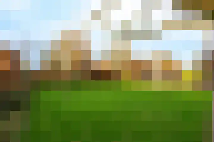 Burgemeester Frieswijkweg 5 Doornspijk thumbnail 51