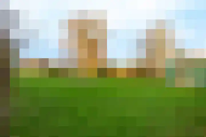 Burgemeester Frieswijkweg 5 Doornspijk thumbnail 53