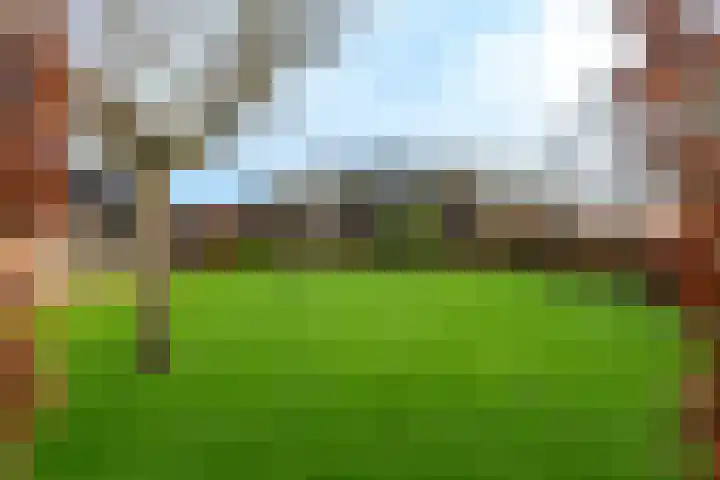 Burgemeester Frieswijkweg 5 Doornspijk thumbnail 57