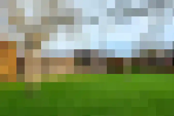 Burgemeester Frieswijkweg 5 Doornspijk thumbnail 58
