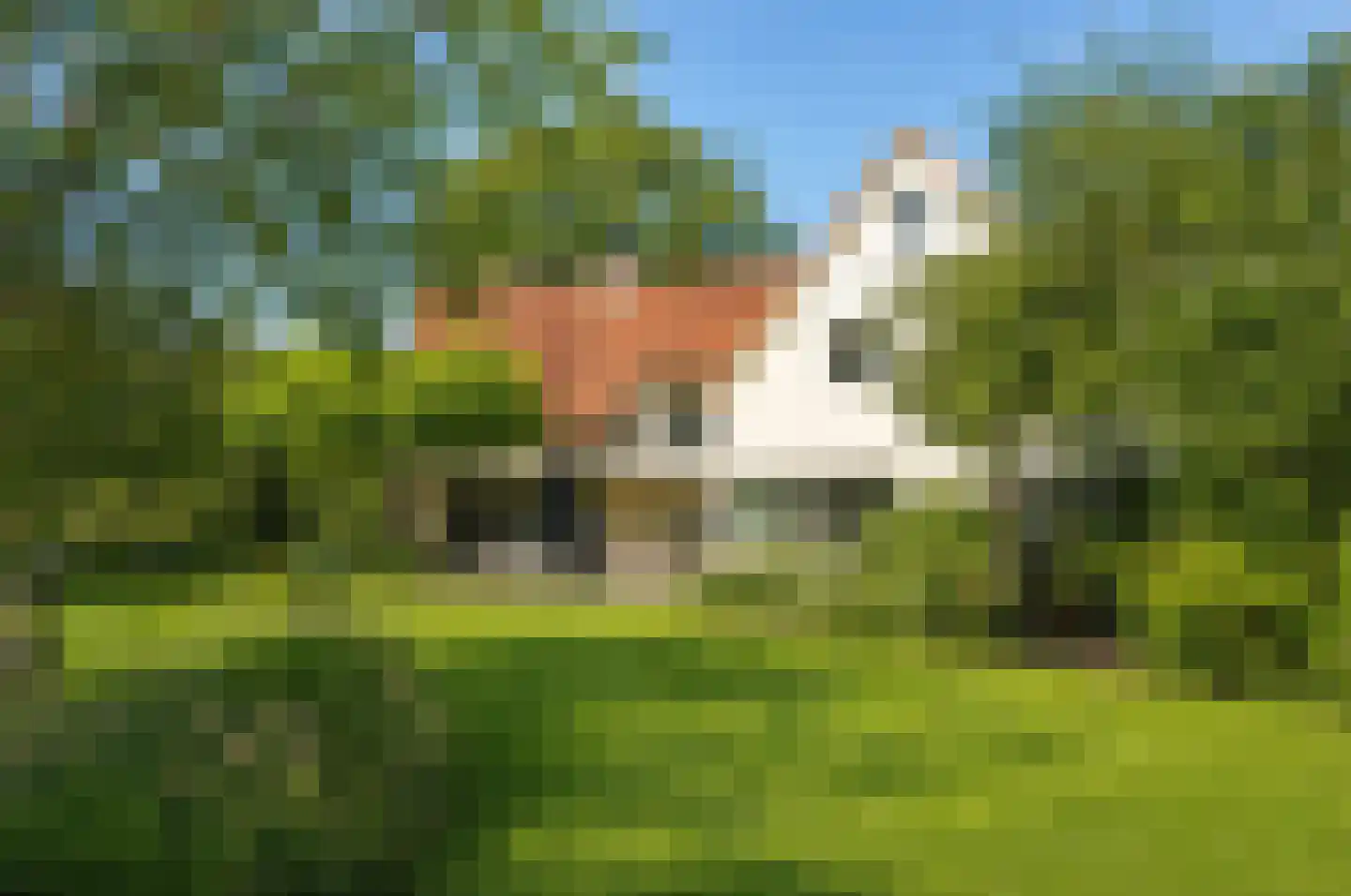 Burgemeester Funklaan 14 Oisterwijk thumbnail 29