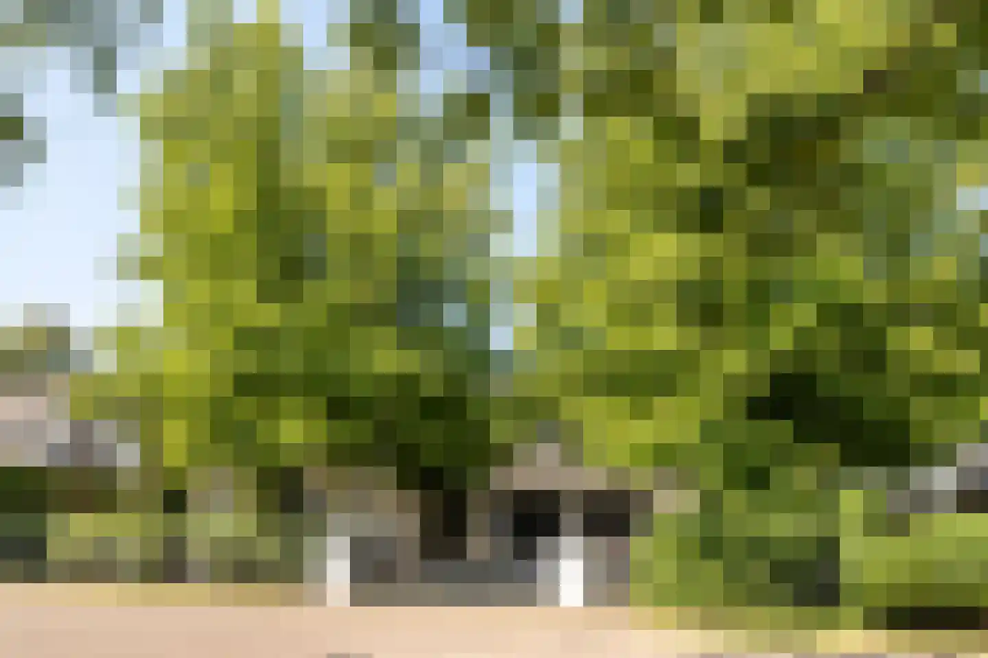 Burgemeester Funklaan 8 Oisterwijk thumbnail 22
