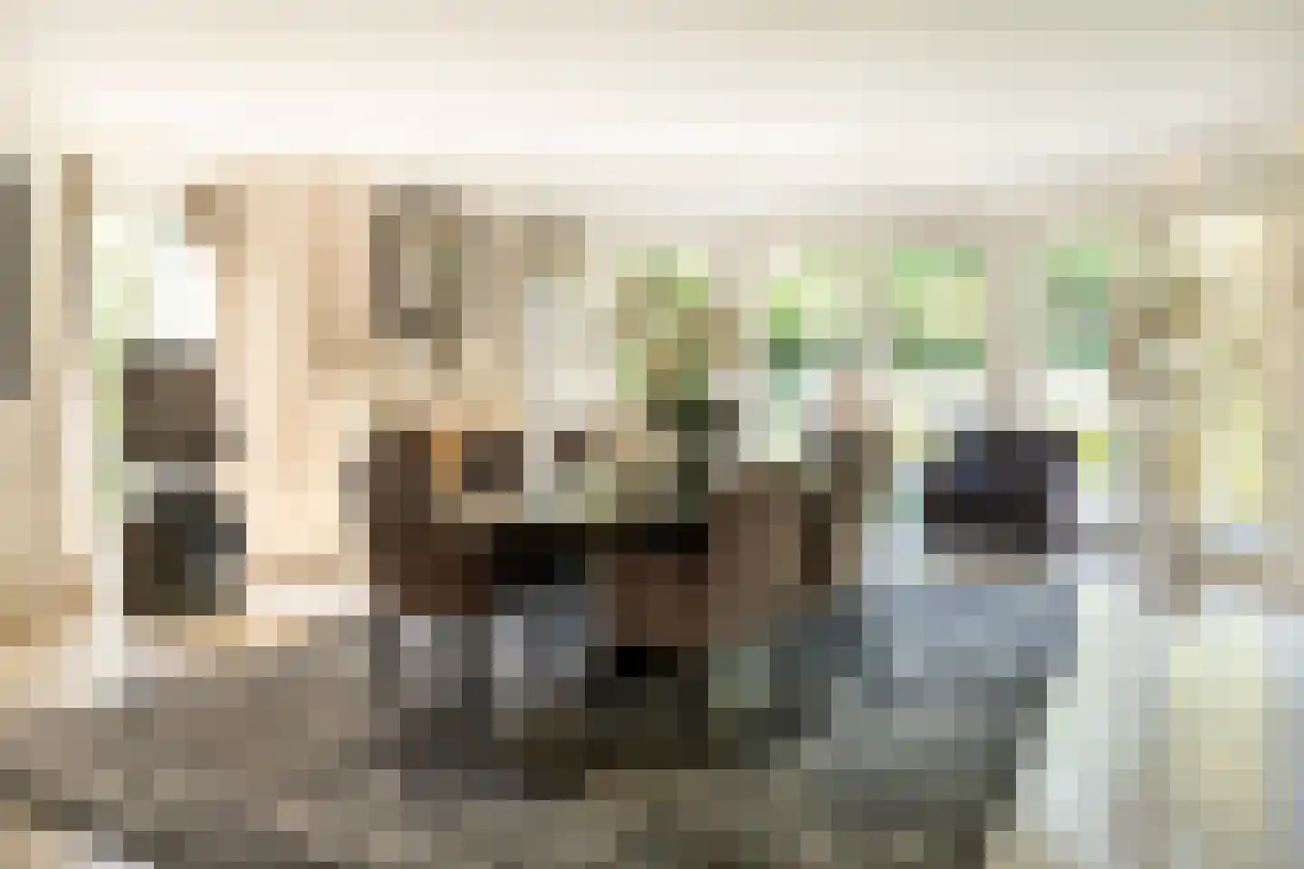 Burgemeester Funklaan 8 Oisterwijk thumbnail 7