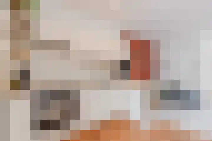 Burgemeester G.Bosstraat 4 Alkmaar thumbnail 4