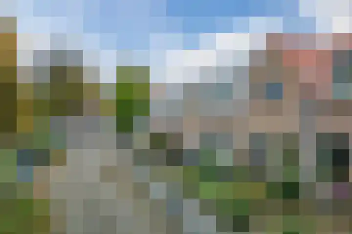 Burgemeester G.Bosstraat 4 Alkmaar thumbnail 6