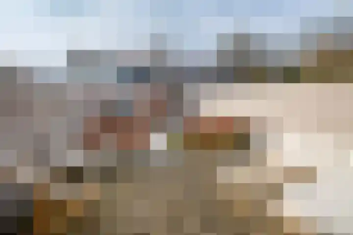 Burgemeester G.H. Dercksenstraat 27 Heerjansdam thumbnail 23