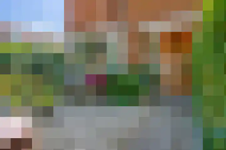 Burgemeester G.R. Vonklaan 27 Bodegraven thumbnail 5