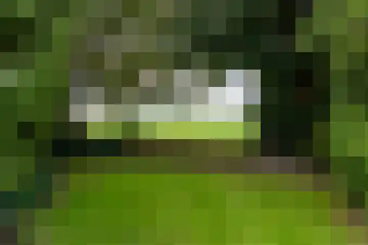 Burgemeester G W Stroinkweg 14 Zuidveen thumbnail 42