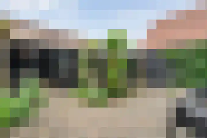 Burgemeester G W Stroinkweg 24 Zuidveen thumbnail 32